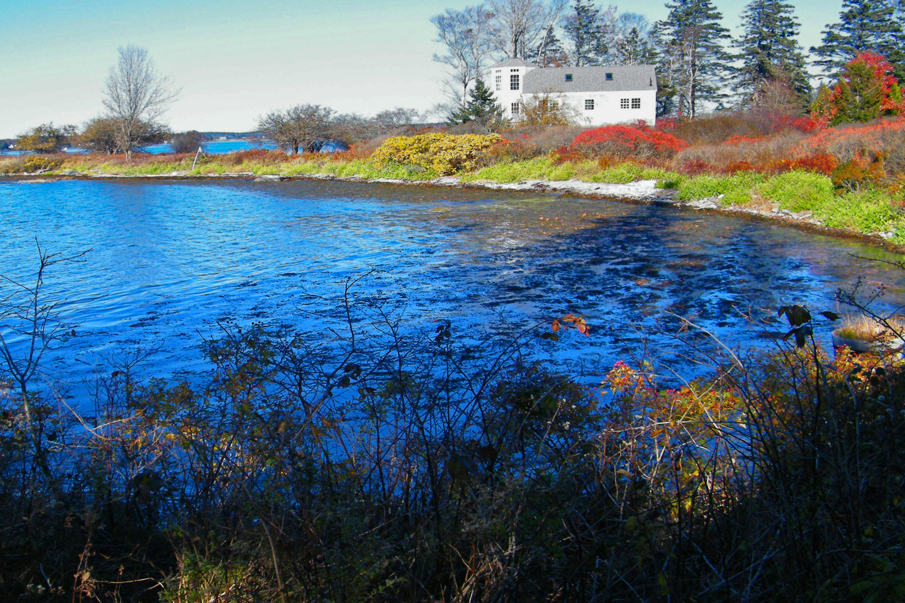 117 Howards Head Road Tenants Harbor, ME 04860 - Photo 35 of 35 36-117HowardsHeadRd-StGeorge-SellerImg