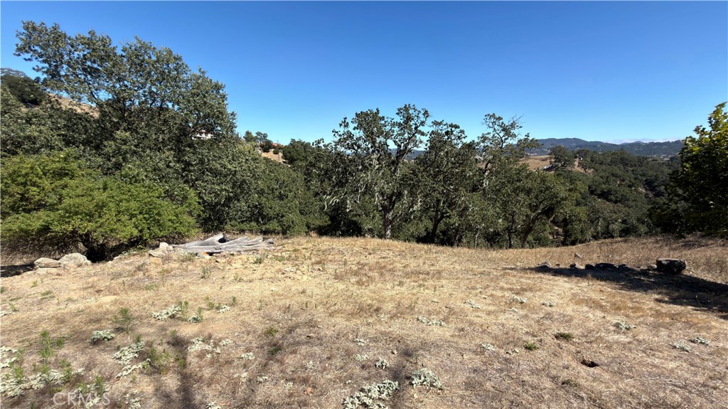 9205 Corona Road Atascadero, CA 93422 - Photo 22 of 31