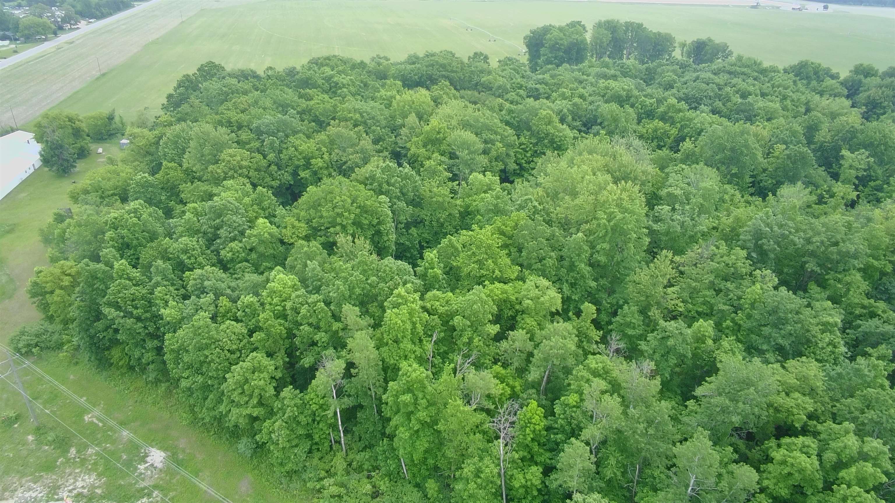 8386 East Sidney Road Crystal, MI 48818 - Photo 10 of 11