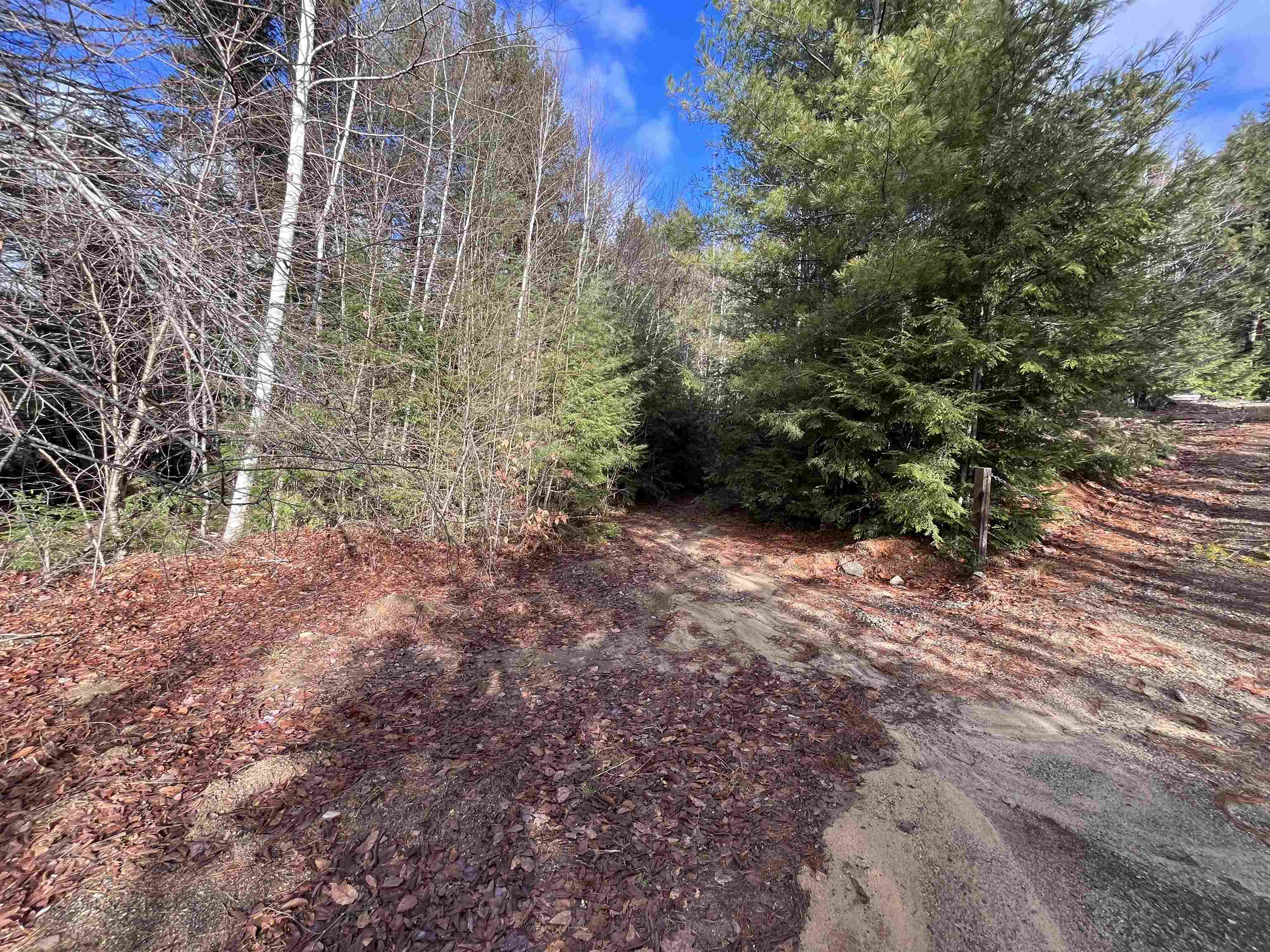168 Morrison Road Alexandria, NH 03222 - Photo 8 of 10