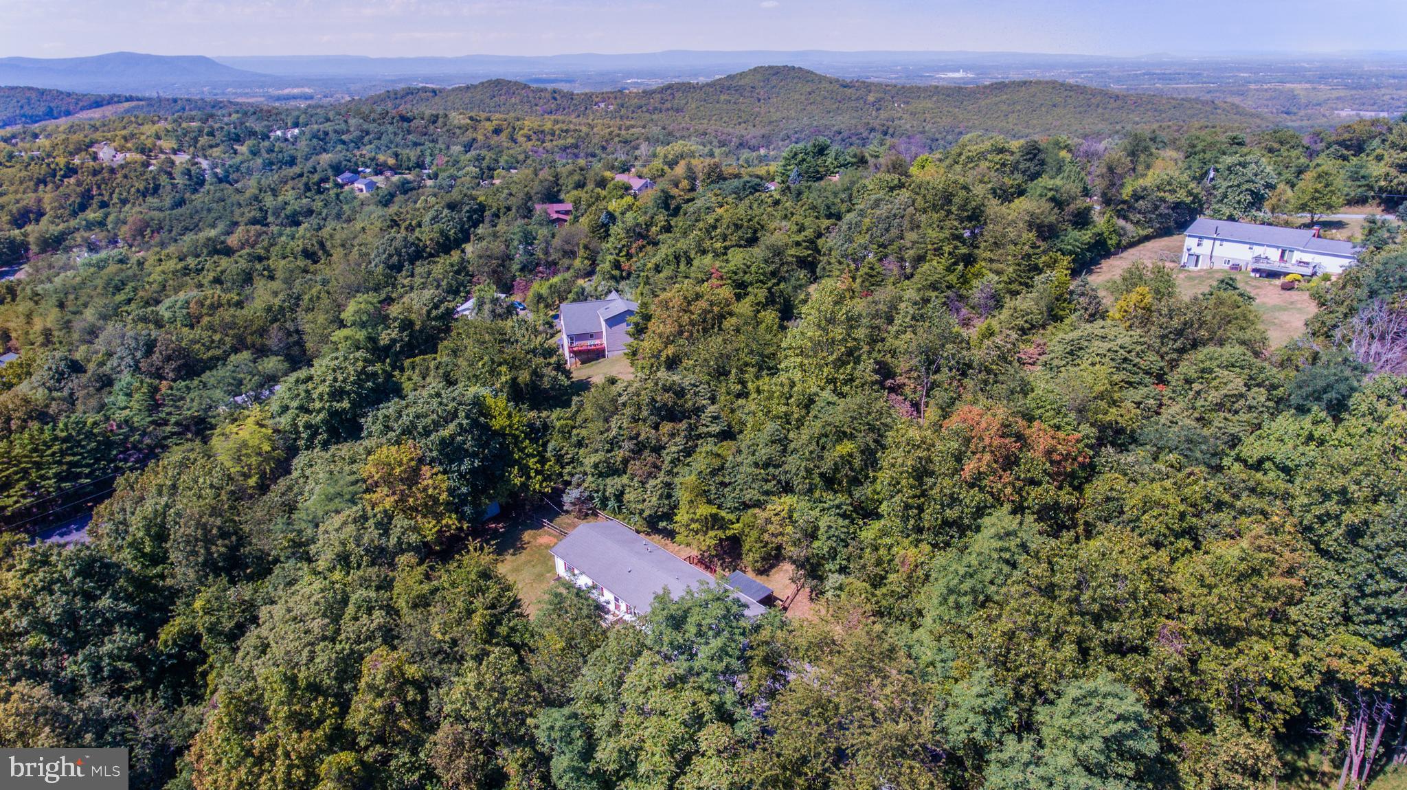 138 Wealthy Road Linden, VA 22642 - Photo 33 of 41