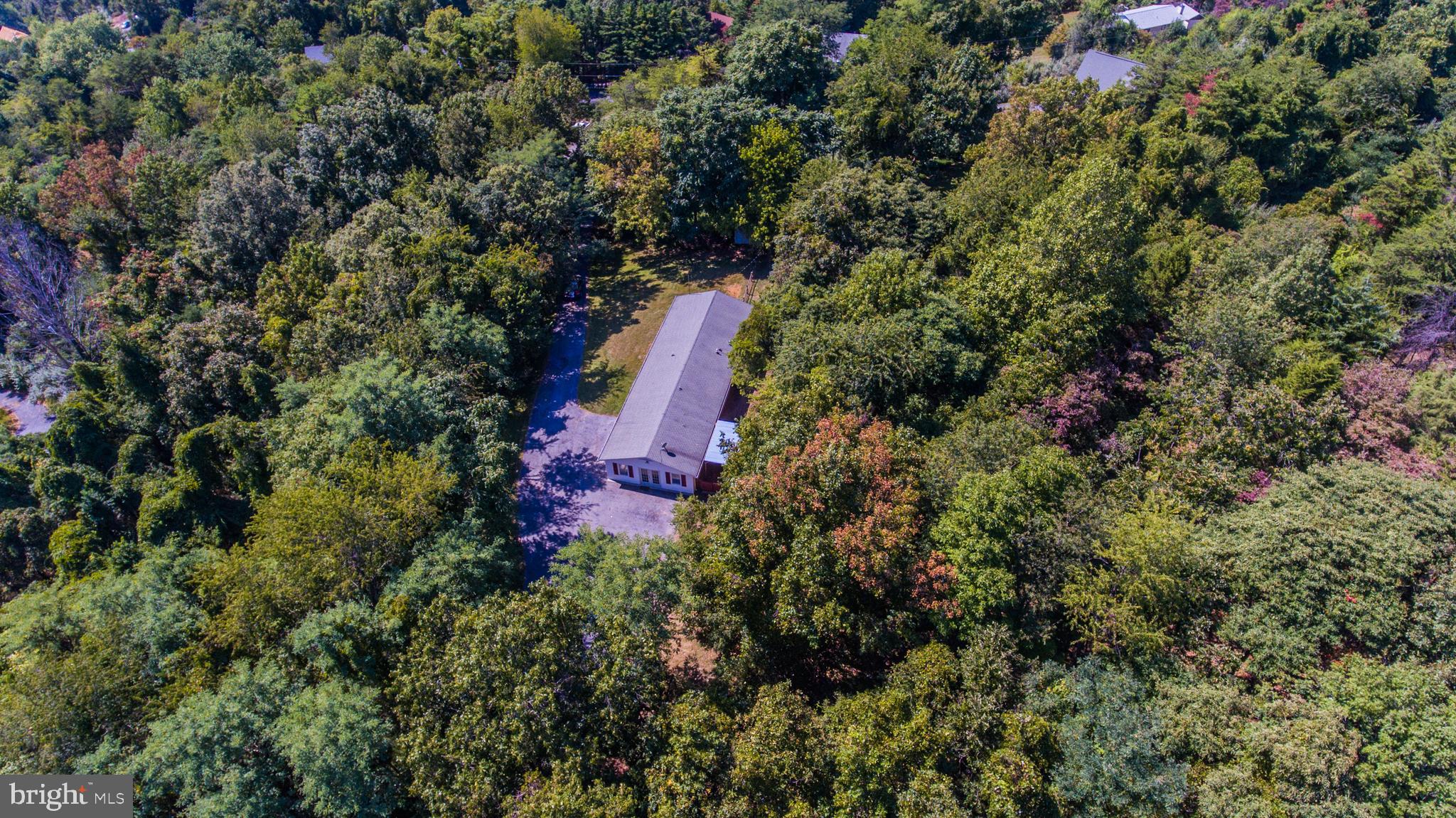 138 Wealthy Road Linden, VA 22642 - Photo 36 of 41