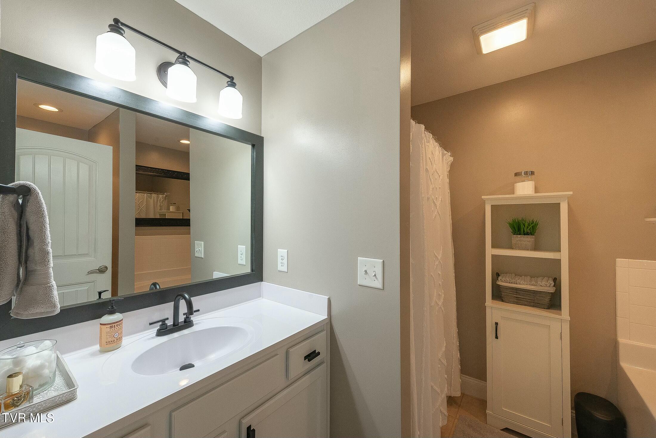 206 Crest Drive Mount Carmel, TN 37645 - Photo 29 of 63 Primary Bath