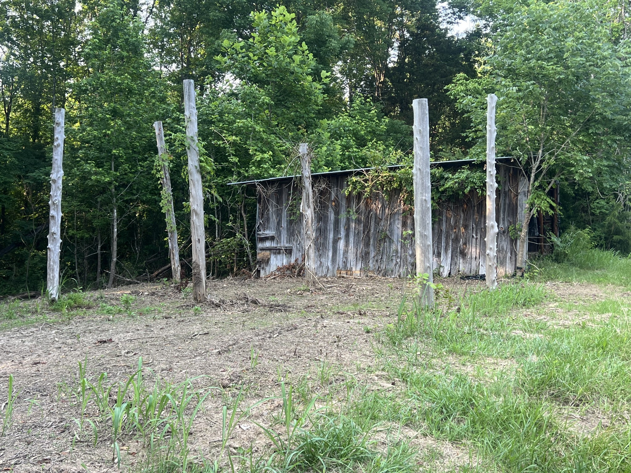 2 Jarrell Ridge Road Clarksville, TN 37043 - Photo 3 of 5 a backyard of a house with lots of green space and plants