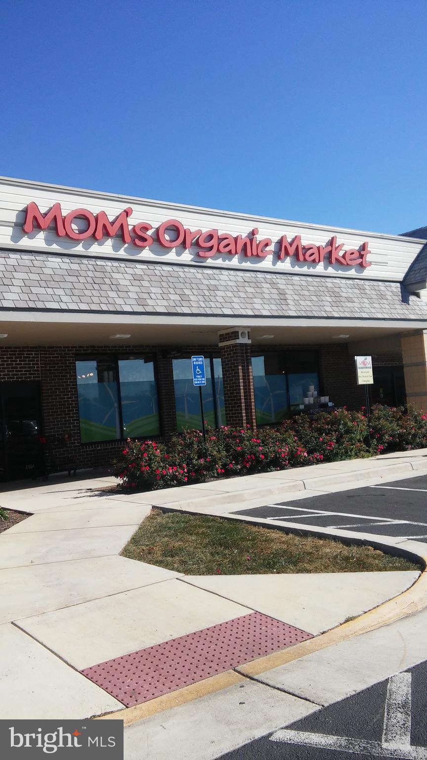 11602 Vantage Hill Road, Unit 2A Reston, VA 20190 - Photo 14 of 14 Close to Mom's Organic, Trader Joe's, WholeFoods +