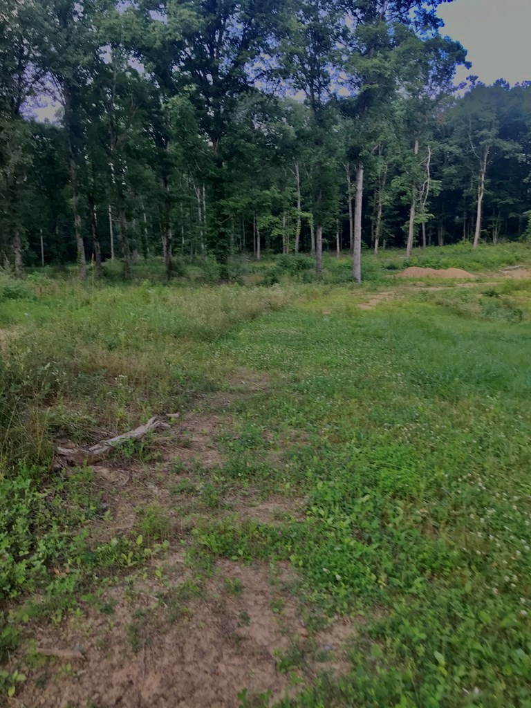 979 Shaver Road Dayton, TN 37321 - Photo 7 of 15