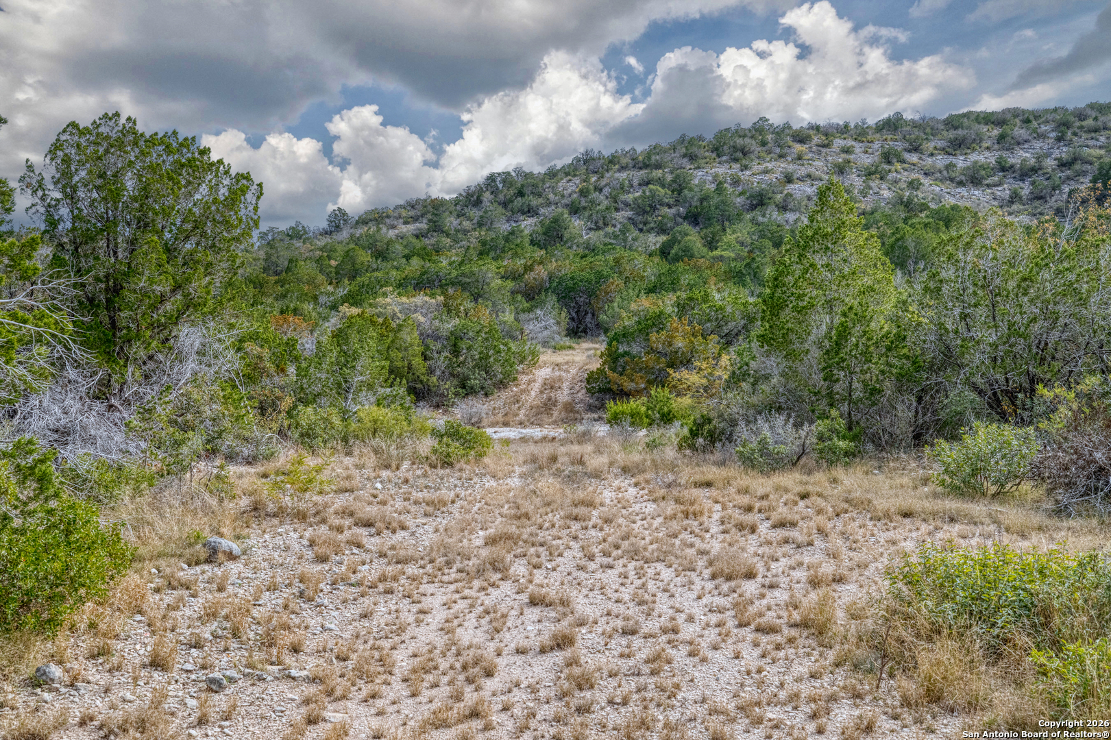 25 Sd 65065 Dusty Rose Ranch Rocksprings, TX 78880 - Photo 18 of 66