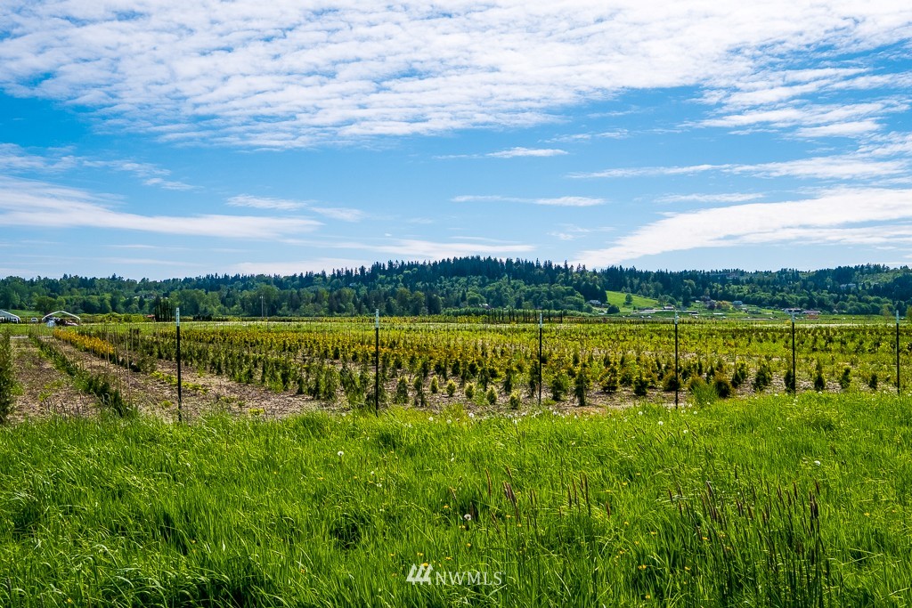 1 Springhetti Road Snohomish, WA 98296 - Photo 10 of 13