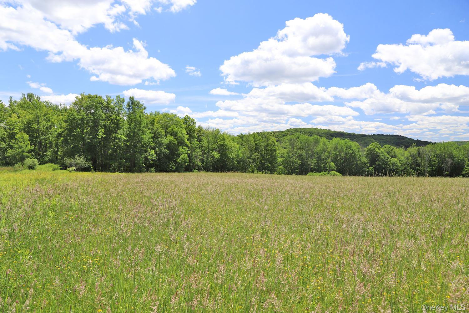 Dietz Road Callicoon Center, NY 12724 - Photo 9 of 24 Meadow to treeline