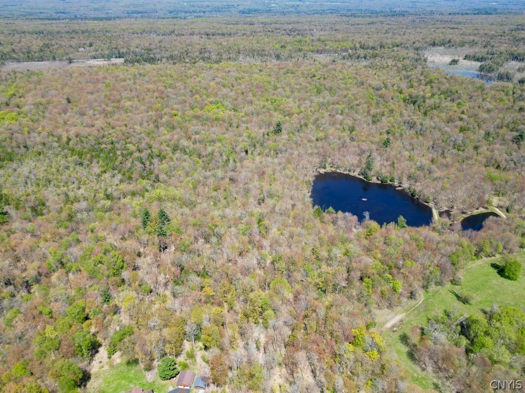 0 North Hillsborough Road Camden, NY 13316 - Photo 14 of 16
