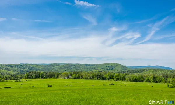 a view of a grassy field with mountains in the background