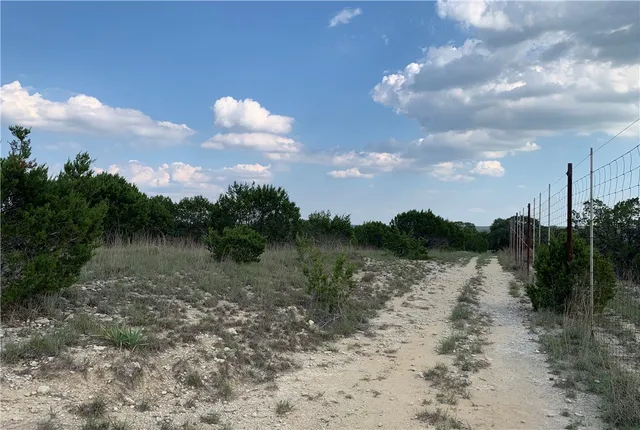 a view of a lush green space