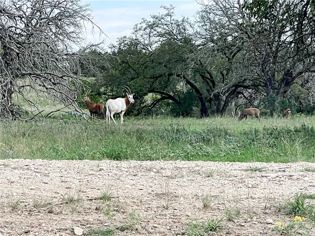 a view of a lake with a yard