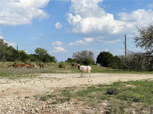 a view of a lake with a yard