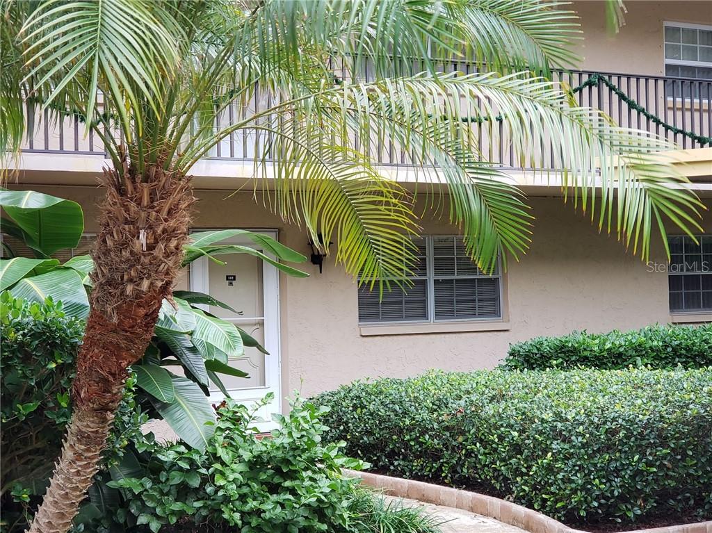 840 Virginia Street, Unit 102 Dunedin, FL 34698 - Photo 1 of 1