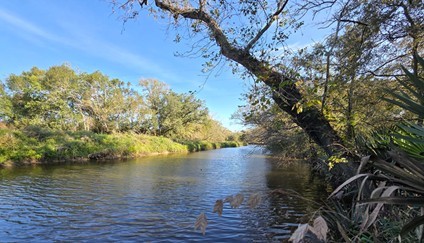 a view of lake with green space