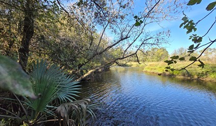 0 Bayou Road Danbury, TX 77534 - Photo 2 of 7 a view of lake