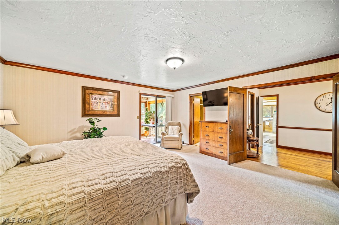 8801 Bunker Road Orwell, OH 44076 - Photo 27 of 50 Bedroom with crown molding, light carpet, and a textured ceiling