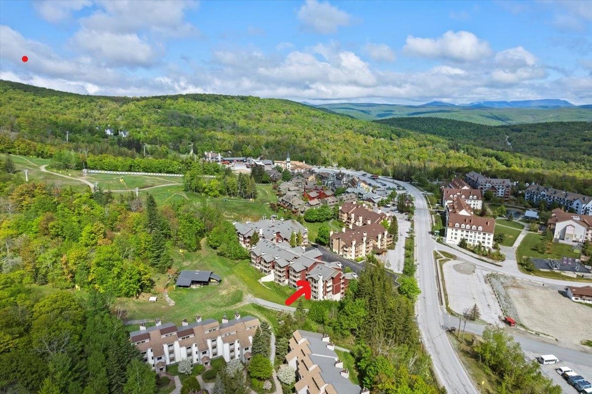 792 Stratton Mountain Road, Unit 4314 Stratton, VT 05155 - Photo 2 of 26 Gallery Image 2