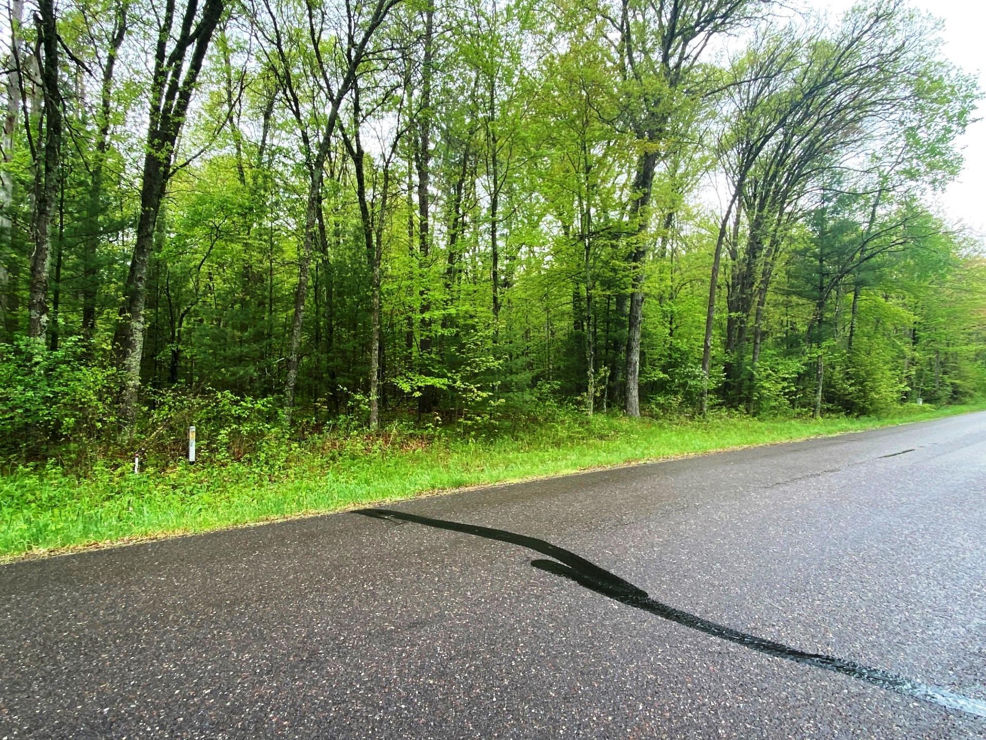 Xxx Pike Bend Road Webster, WI 54893 - Photo 1 of 1 Gallery Image 1