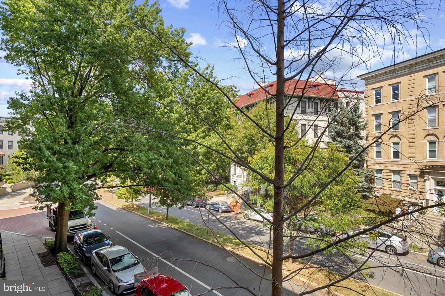 1801 Calvert Street Northwest, Unit 401 Washington, DC 20009 - Photo 5 of 23 a view of a yard with plants and trees