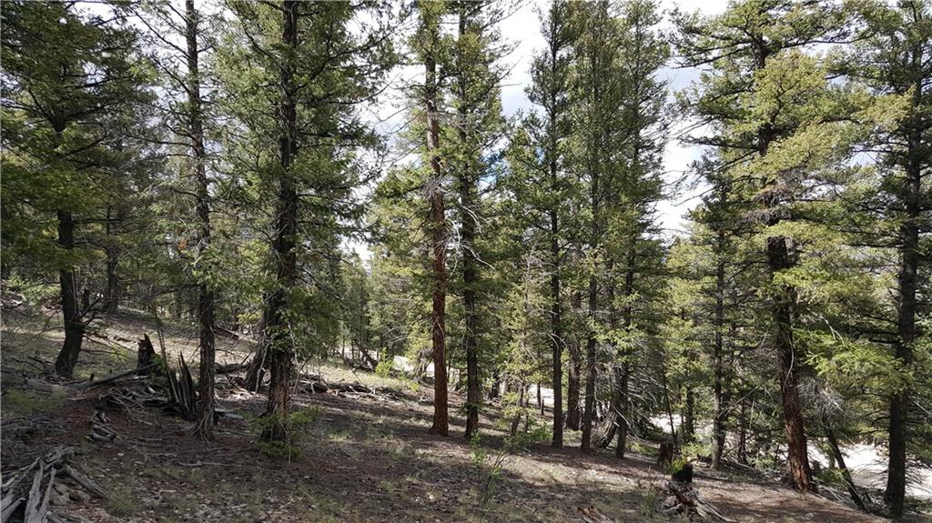 1575 Redhill Road Fairplay, CO 80440 - Photo 22 of 35 Gallery Image 22