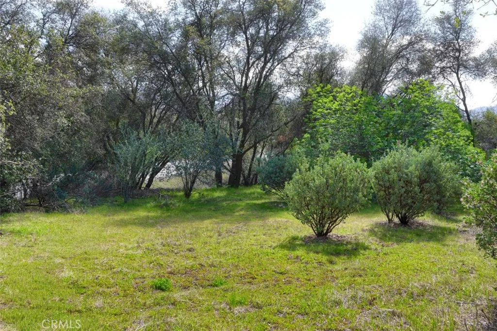 0 Knickerbocker Road Ahwahnee, CA 93601 - Photo 12 of 31