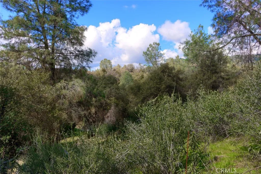 0 Knickerbocker Road Ahwahnee, CA 93601 - Photo 15 of 31