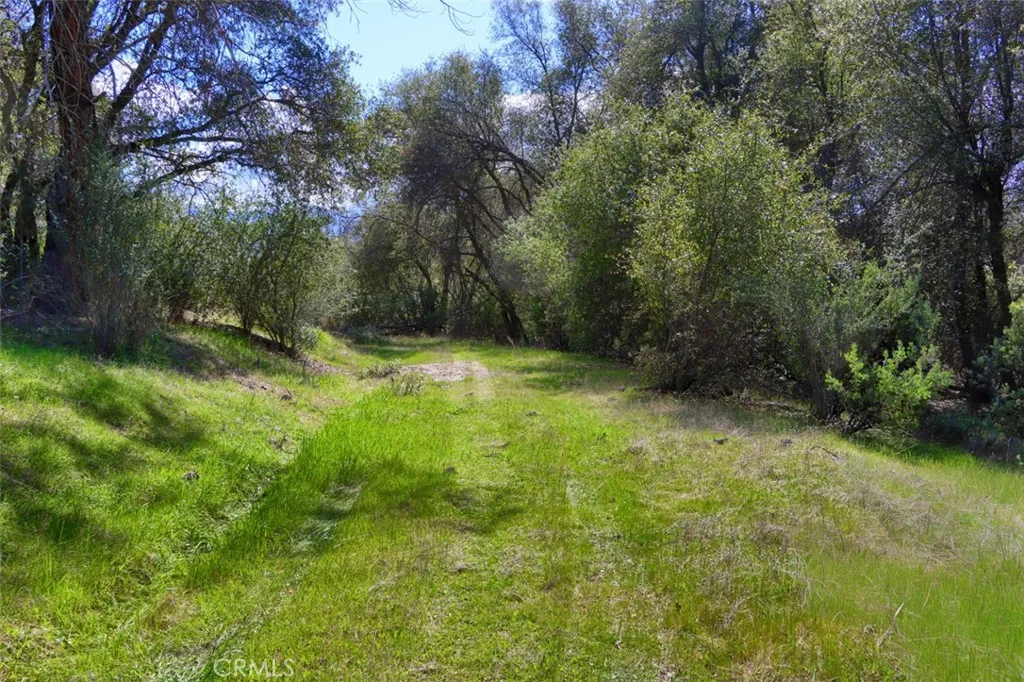 0 Knickerbocker Road Ahwahnee, CA 93601 - Photo 23 of 31