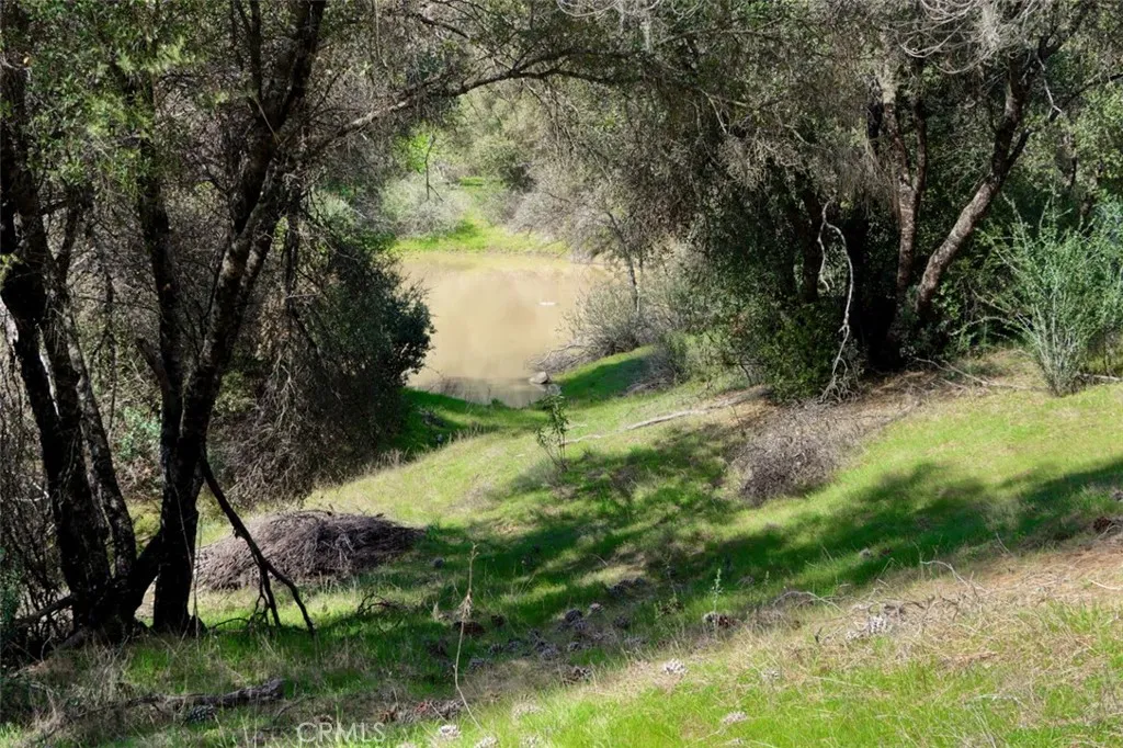 0 Knickerbocker Road Ahwahnee, CA 93601 - Photo 4 of 31