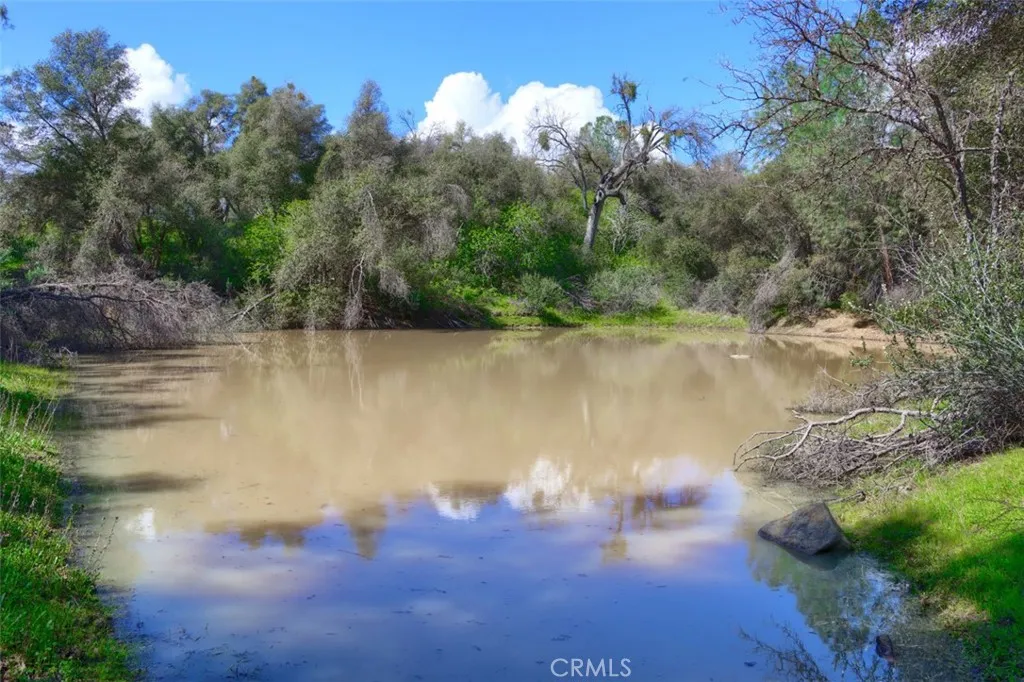 0 Knickerbocker Road Ahwahnee, CA 93601 - Photo 5 of 31