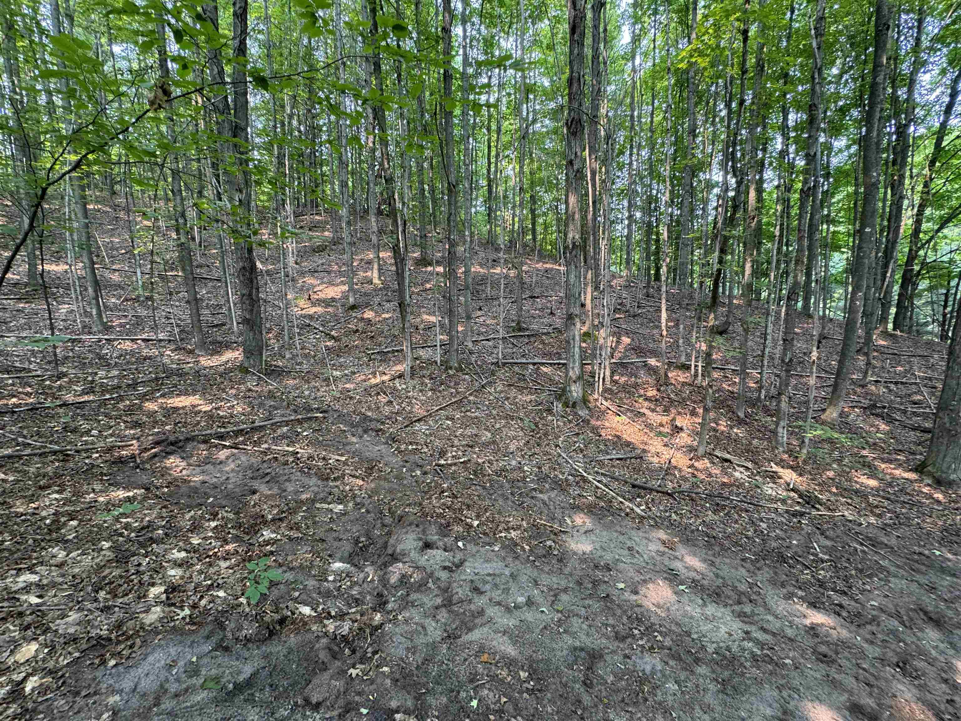 Lot #4 East Bellinger Road, Unit BELLINGER ESTATES Cedar, MI 49621 - Photo 24 of 27