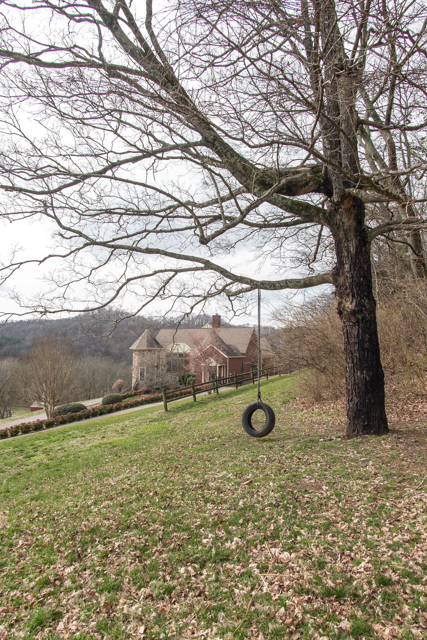 1026 Holly Tree Gap Road Brentwood, TN 37027 - Photo 27 of 27 a view of yard with tree in back