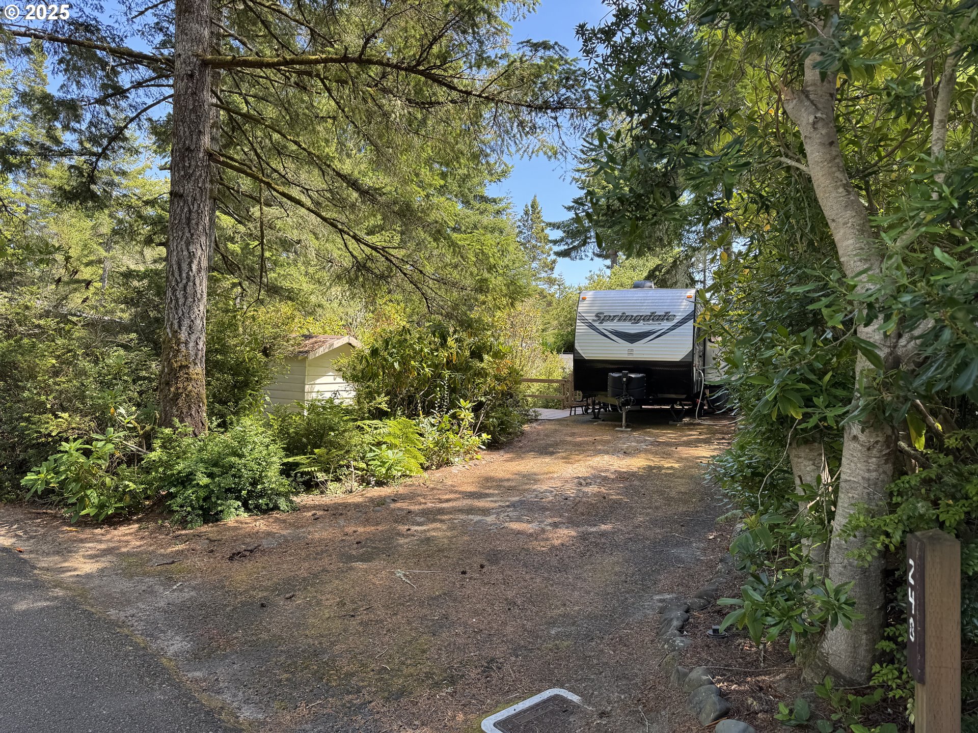 248 Horseshoe Bend Florence, OR 97439 - Photo 2 of 32 a view of a backyard of the house