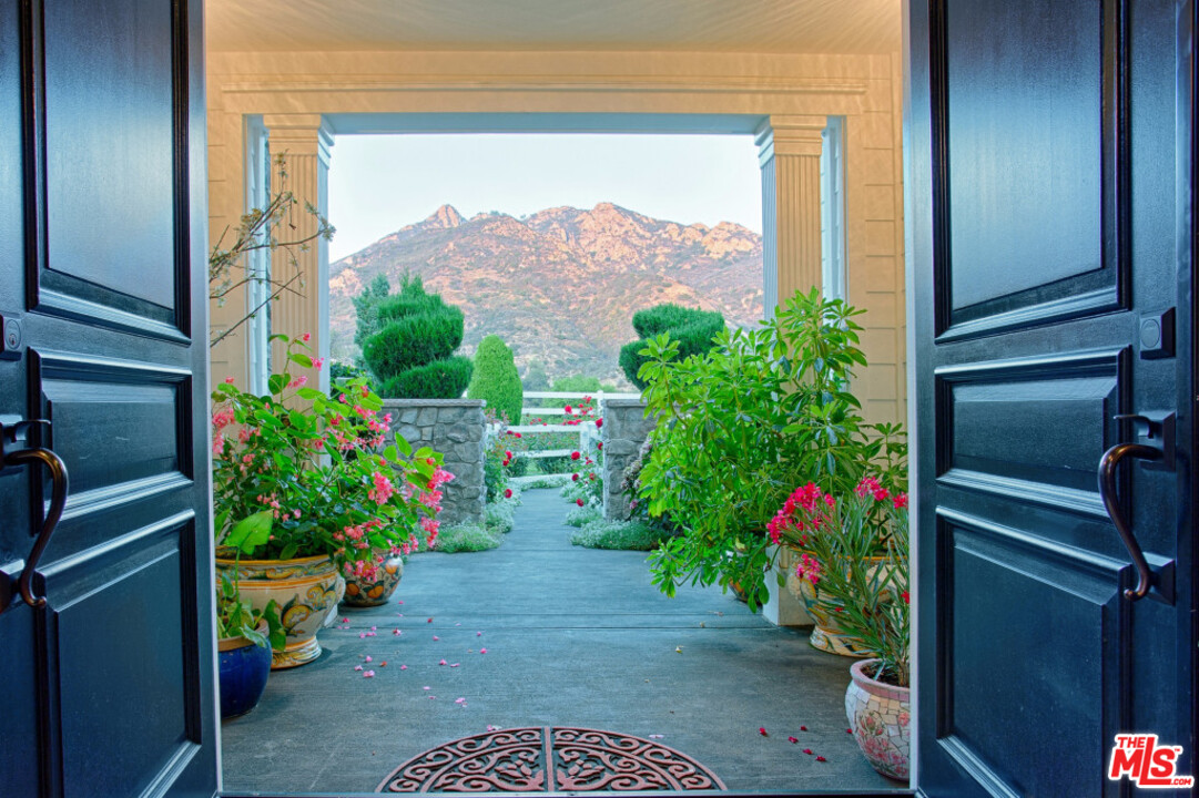 423 Woodbluff Road Monte Nido, CA 91302 - Photo 7 of 31 a view of a potted flower in front of a door