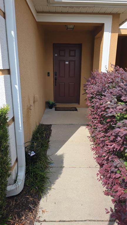 326 Chelsea Drive Davenport, FL 33897 - Photo 3 of 20