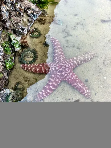 a view of an ocean of a house