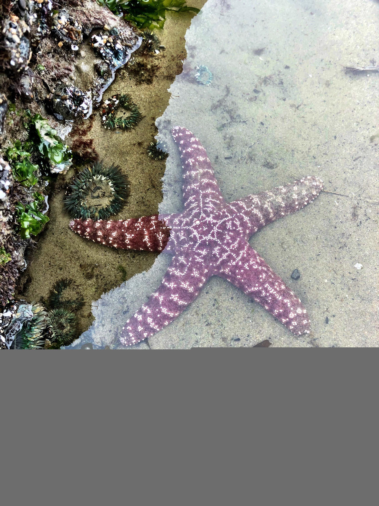 4975 Sandyland Road, Unit 103 Carpinteria, CA 93013 - Photo 16 of 19 IMG_0539