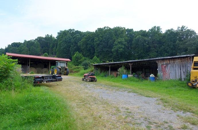 70-ac Appro Texas Grove Road Spring City, TN 37381 - Photo 4 of 9 2620 wolf creek back yard