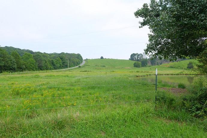 70-ac Appro Texas Grove Road Spring City, TN 37381 - Photo 5 of 9 2620 wolf creek by pond