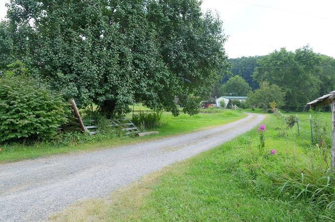 70-ac Appro Texas Grove Road Spring City, TN 37381 - Photo 6 of 9 2620 wolf creek from street