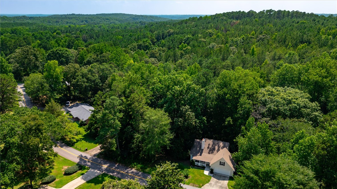 210 Briarcliff Road Central, SC 29630 - Photo 38 of 40