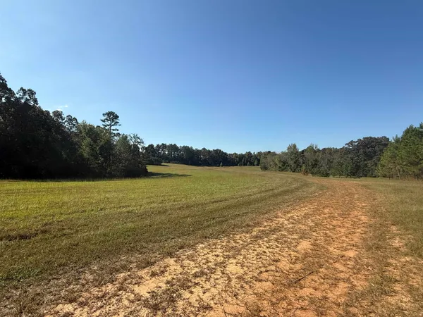 a view of a field with trees in the background
