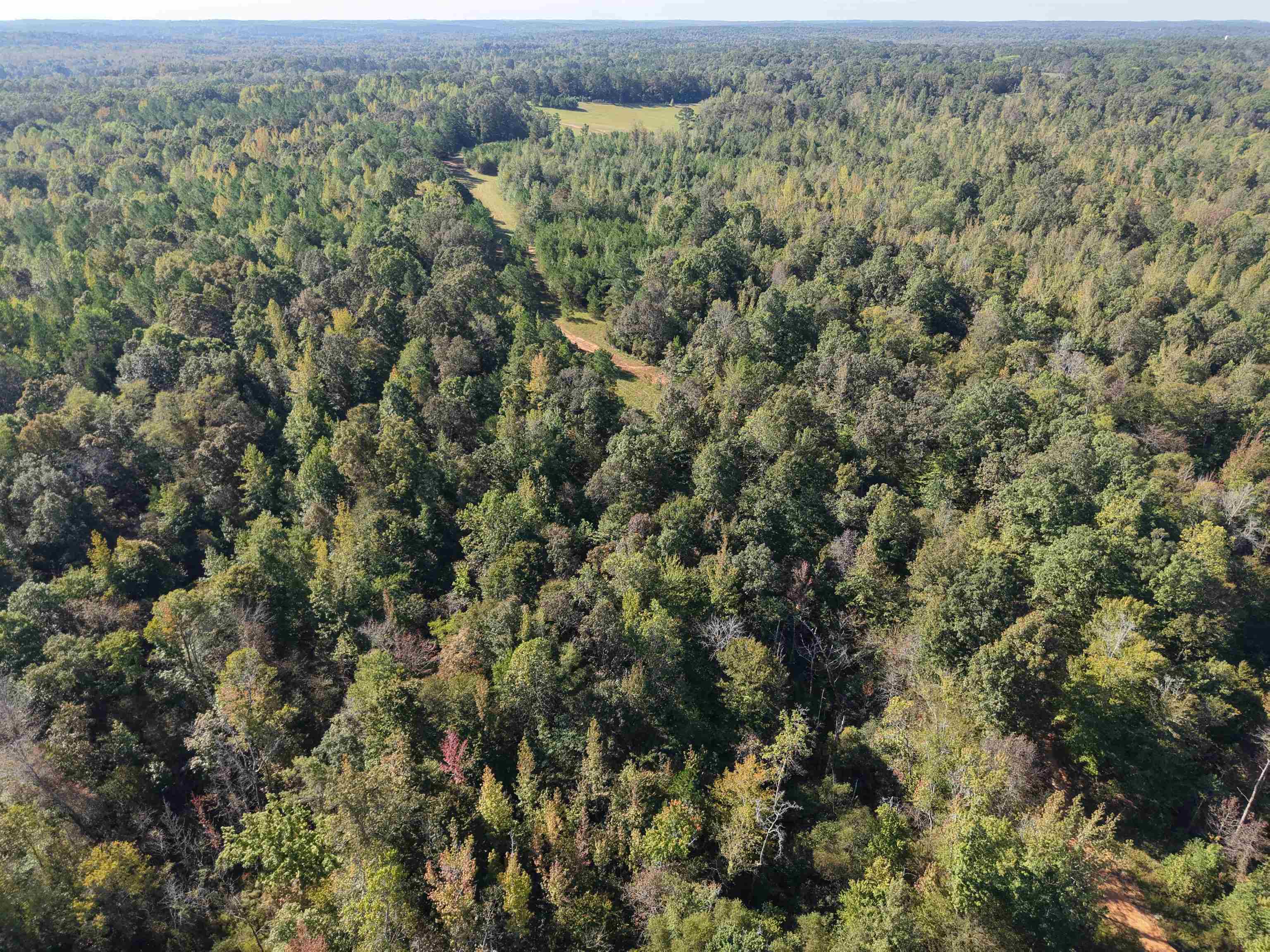 0 Burgess Loop Middleton, TN 38052 - Photo 13 of 29 an aerial view of forest