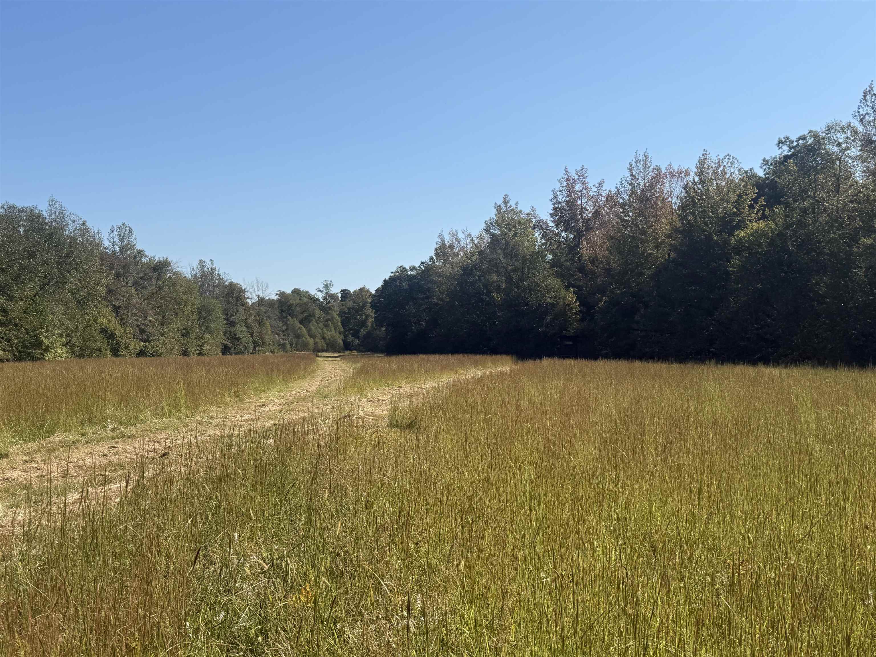 0 Burgess Loop Middleton, TN 38052 - Photo 14 of 29