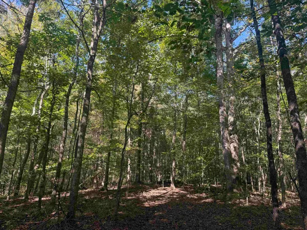 $550,257 | 0 Burgess Loop, Middleton, TN 38052