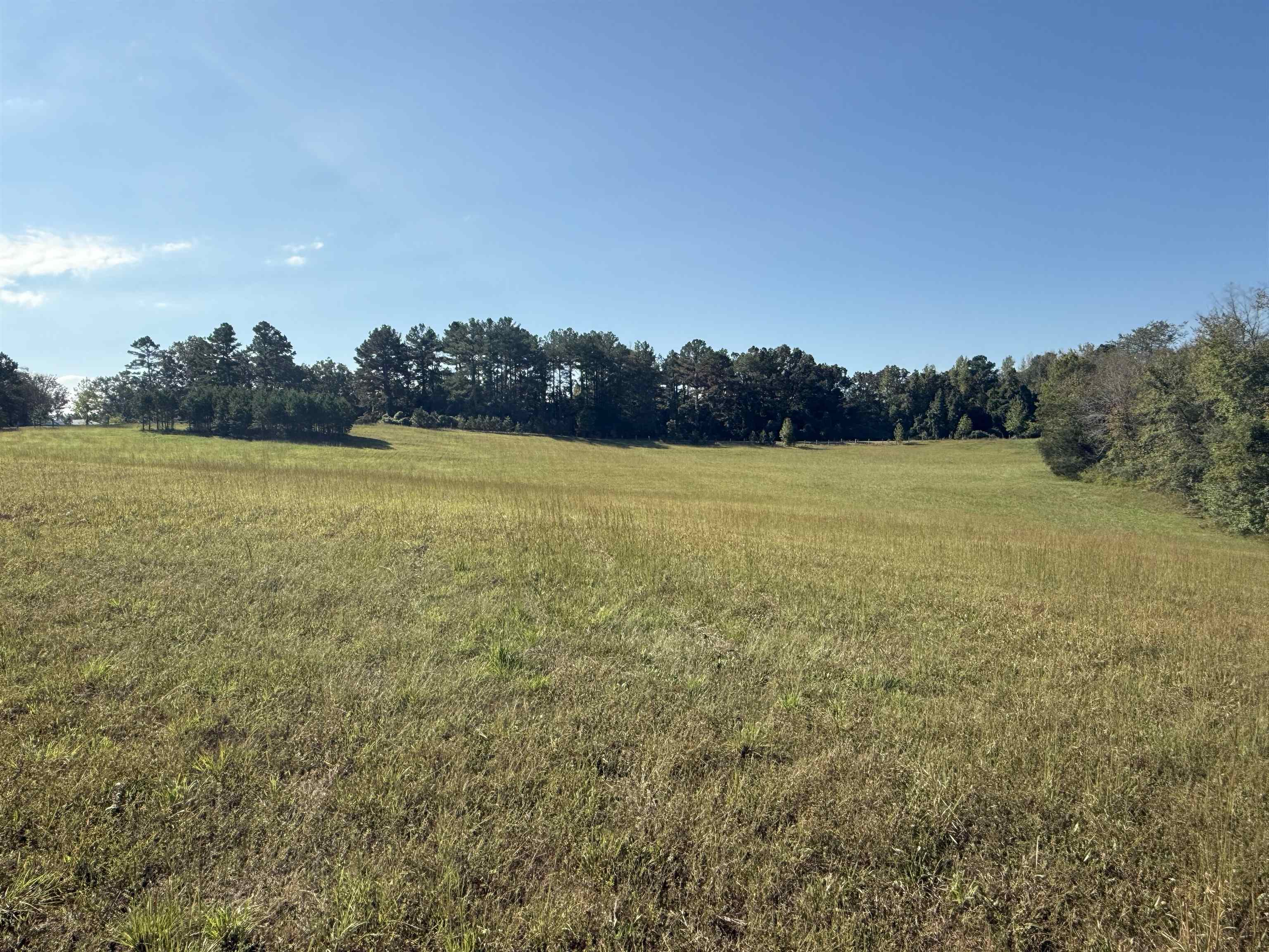 0 Burgess Loop Middleton, TN 38052 - Photo 16 of 29 a view of an ocean and beach
