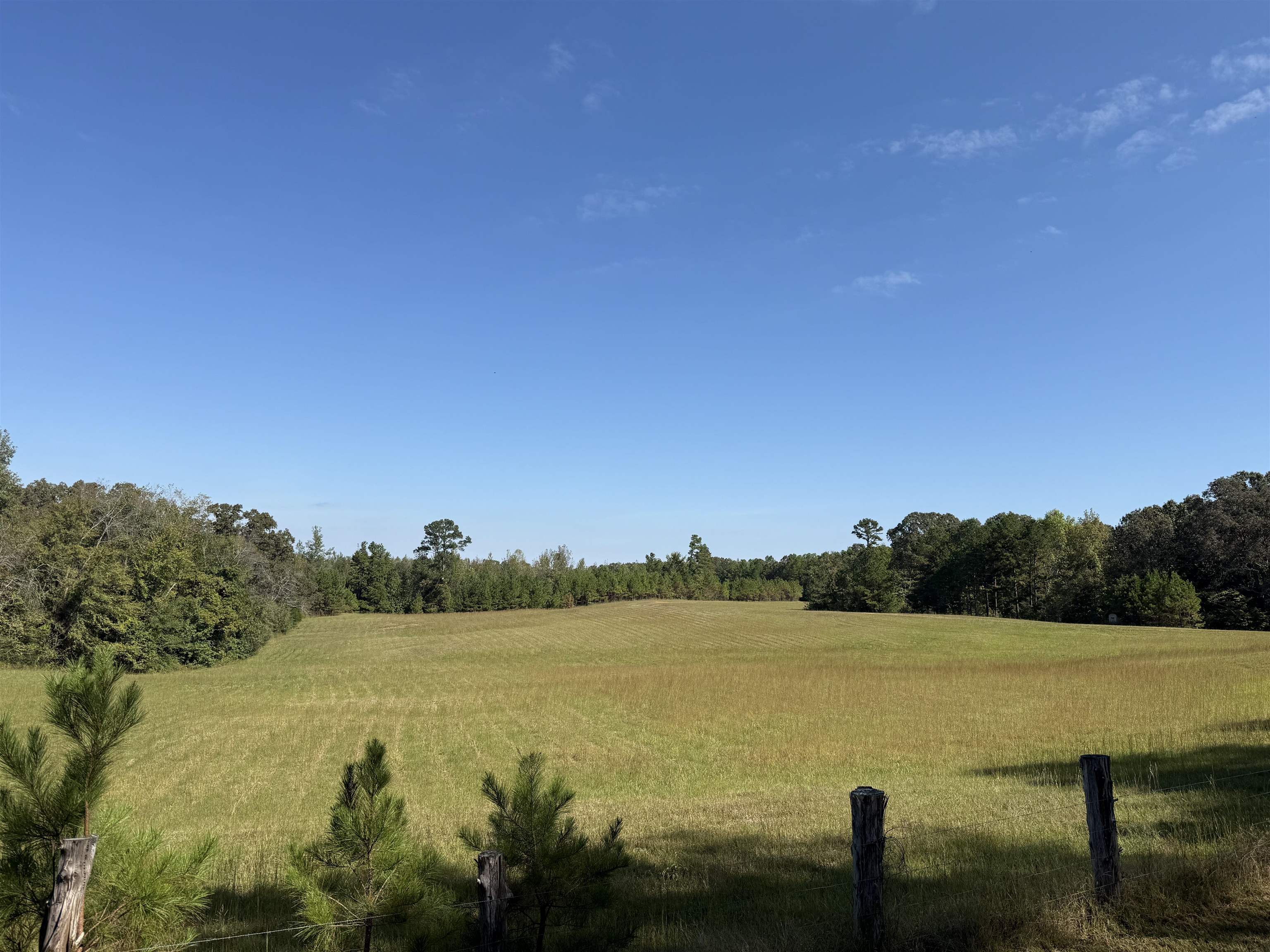 0 Burgess Loop Middleton, TN 38052 - Photo 20 of 29