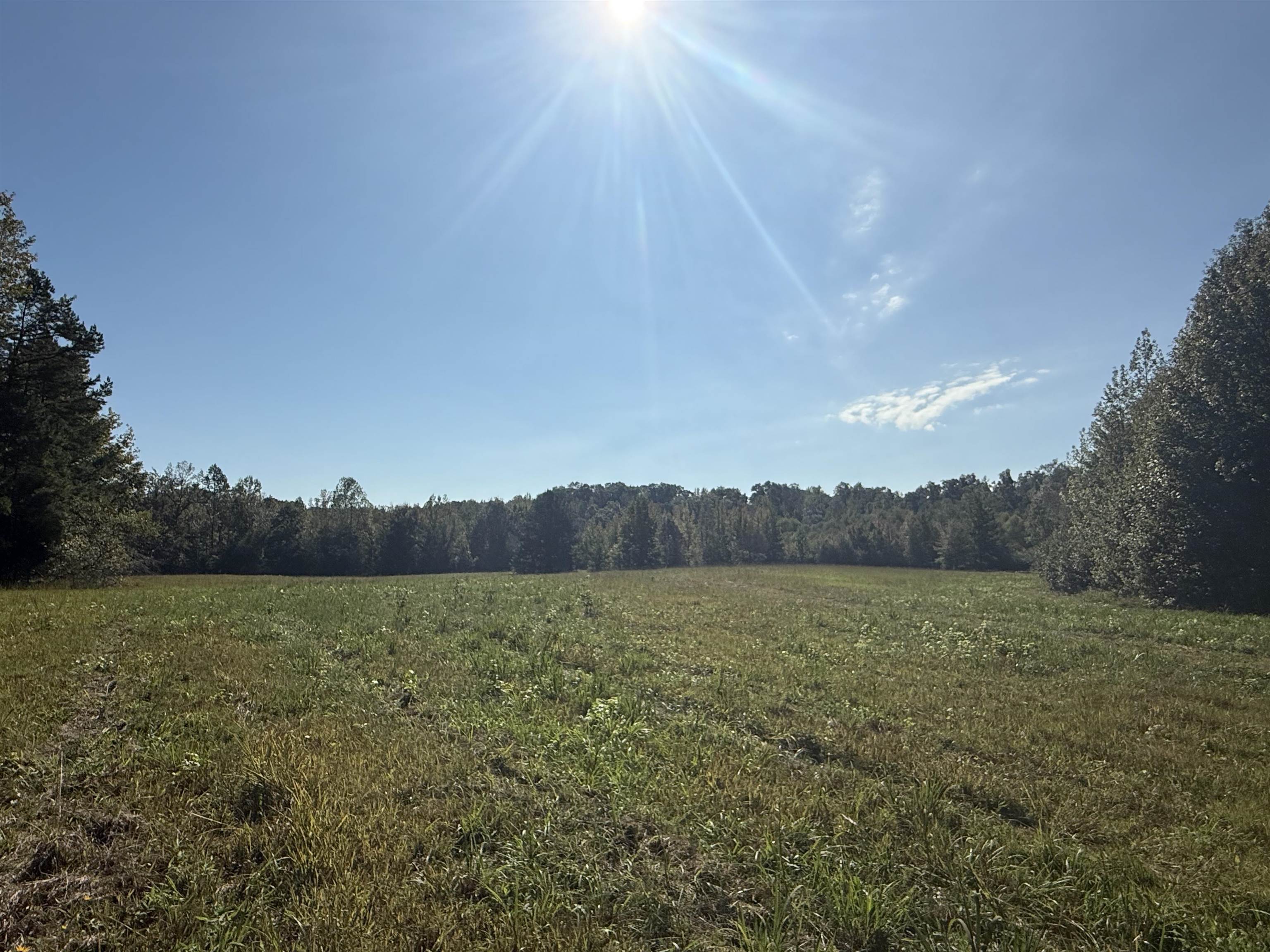 0 Burgess Loop Middleton, TN 38052 - Photo 20 of 29 a view of an outdoor space and a yard