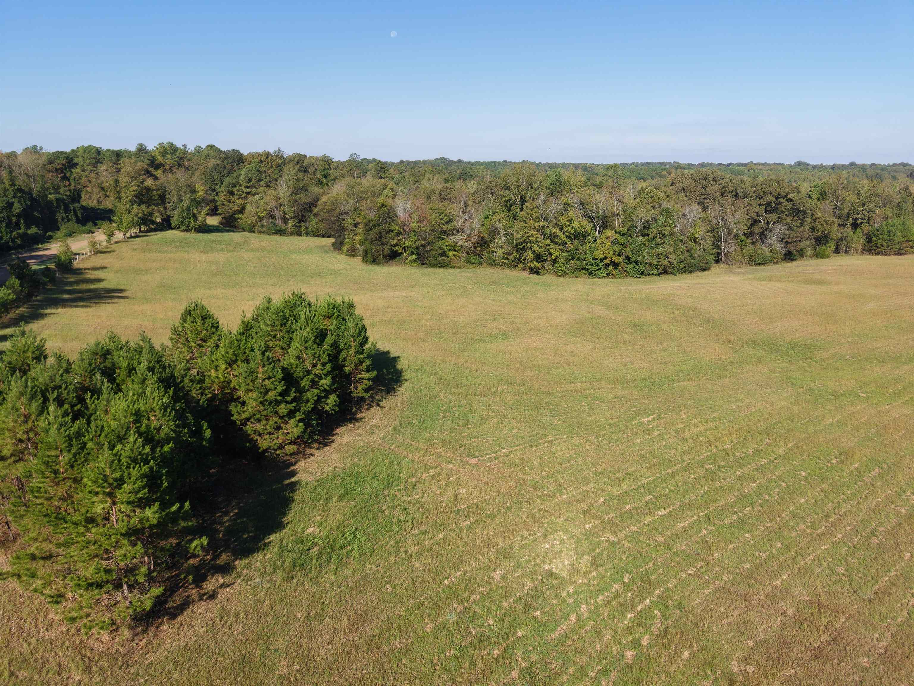 0 Burgess Loop Middleton, TN 38052 - Photo 2 of 29 a view of an ocean